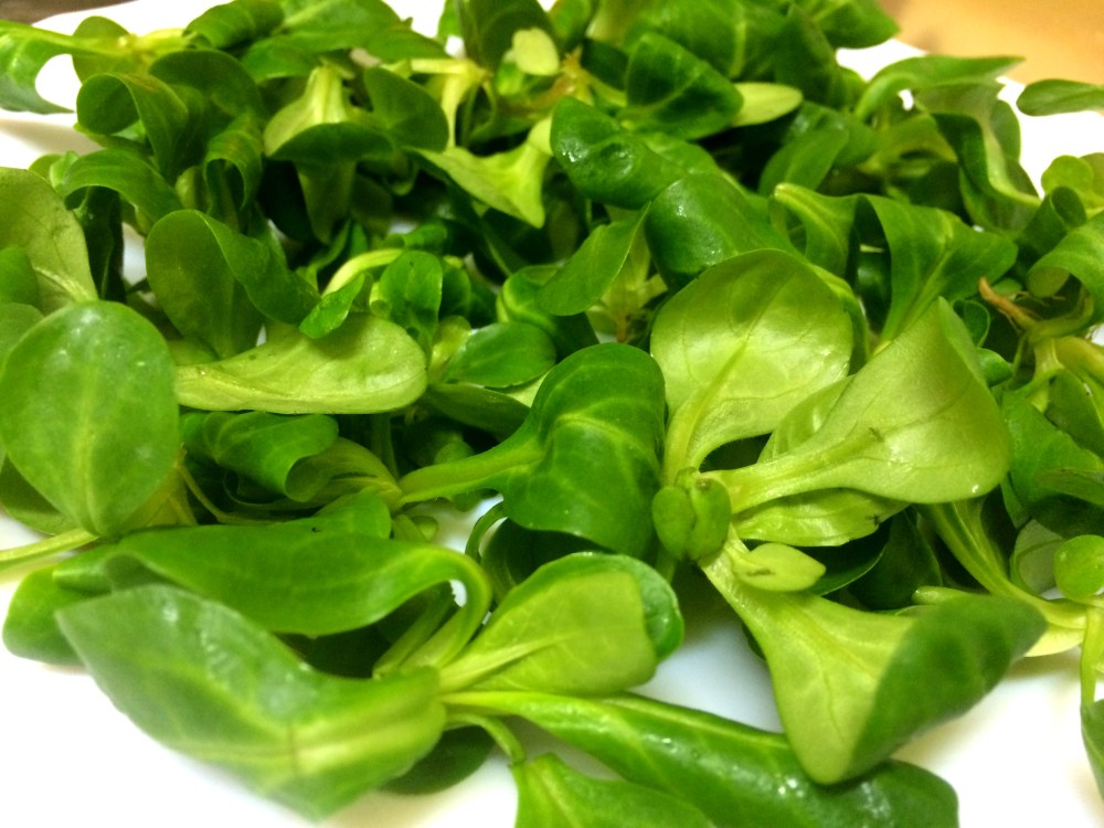 ensalada de pavo, manzana y arñandanos (1).JPG