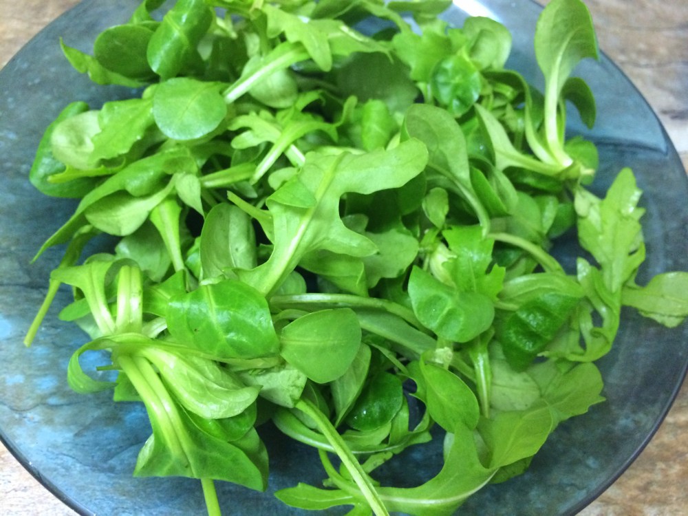 Ensalada de mango (4).JPG