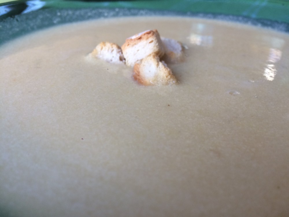 vichisoysse  manzana (2).JPG