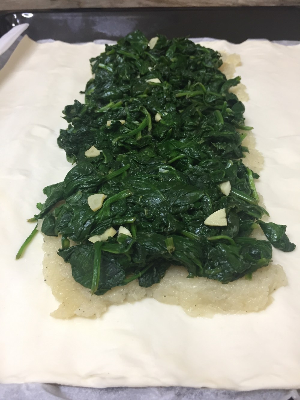 wellington-vegetal-11